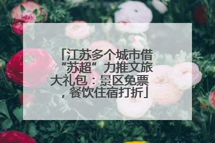 江苏多个城市借“苏超”力推文旅大礼包：景区免票，餐饮住宿打折