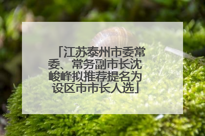江苏泰州市委常委、常务副市长沈峻峰拟推荐提名为设区市市长人选