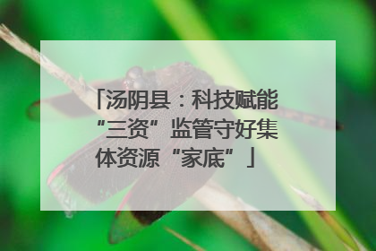 汤阴县：科技赋能“三资”监管守好集体资源“家底”