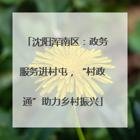 沈阳浑南区：政务服务进村屯，“村政通”助力乡村振兴
