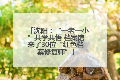 沈阳：“一老一小”共学共悟 档案馆来了30位“红色档案修复师”