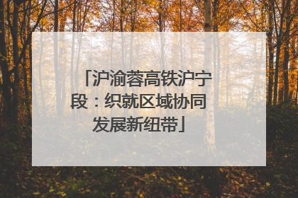 沪渝蓉高铁沪宁段：织就区域协同发展新纽带
