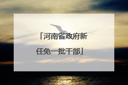 河南省政府新任免一批干部
