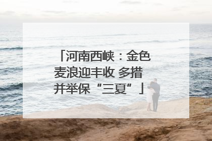 河南西峡：金色麦浪迎丰收 多措并举保“三夏”