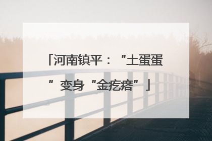 河南镇平：“土蛋蛋”变身“金疙瘩”