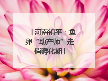 河南镇平：鱼卵“助产师”走俏孵化期