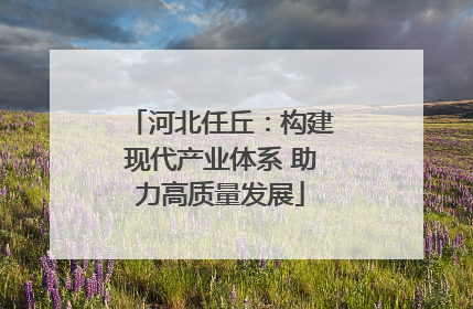 河北任丘：构建现代产业体系 助力高质量发展