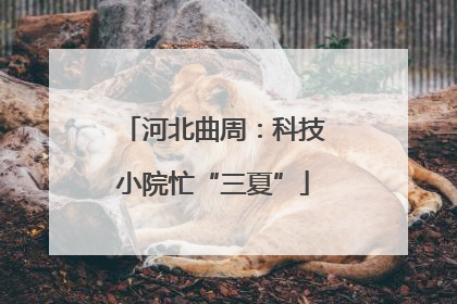河北曲周：科技小院忙“三夏”