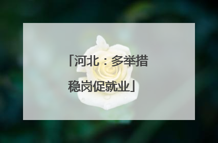 河北：多举措稳岗促就业