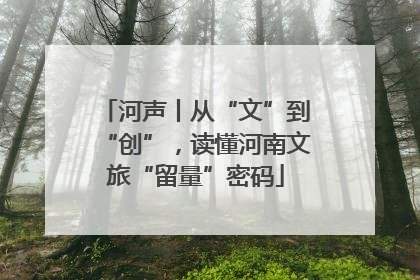 河声丨从“文”到“创”，读懂河南文旅“留量”密码