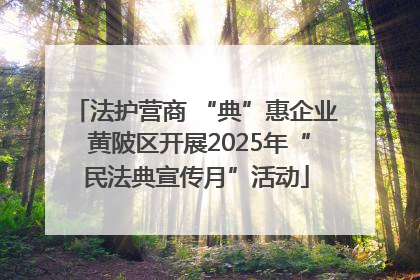法护营商 “典”惠企业 黄陂区开展2025年“民法典宣传月”活动