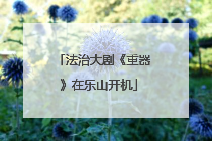 法治大剧《重器》在乐山开机