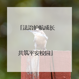 法治护航成长 共筑平安校园