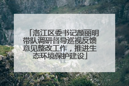 洛江区委书记颜丽明带队调研督导巡视反馈意见整改工作，推进生态环境保护建设