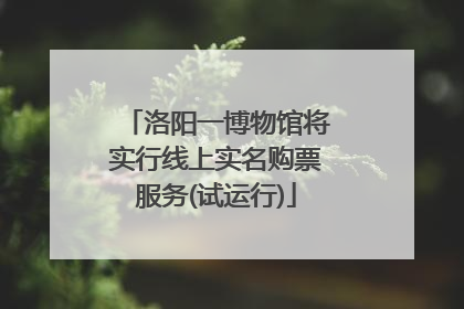 洛阳一博物馆将实行线上实名购票服务(试运行)