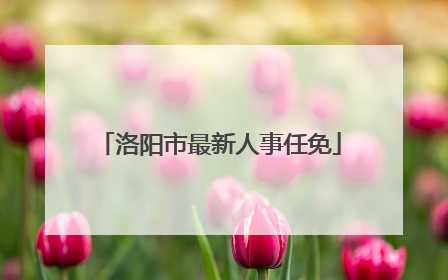 洛阳市最新人事任免
