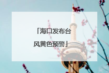 海口发布台风黄色预警