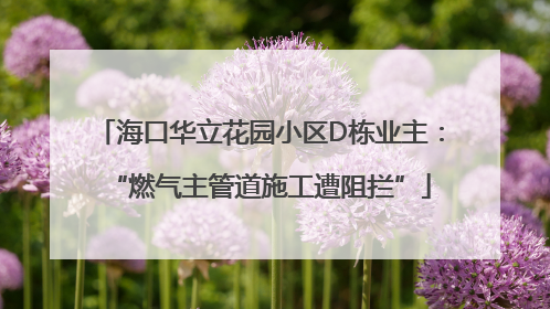 海口华立花园小区D栋业主：“燃气主管道施工遭阻拦”