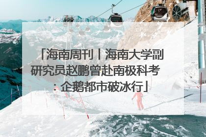 海南周刊丨海南大学副研究员赵鹏曾赴南极科考：企鹅都市破冰行