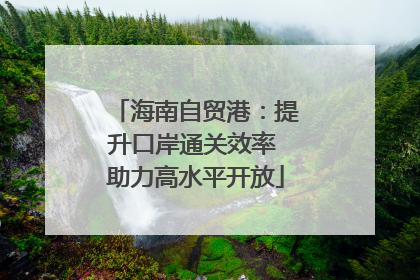海南自贸港：提升口岸通关效率 助力高水平开放