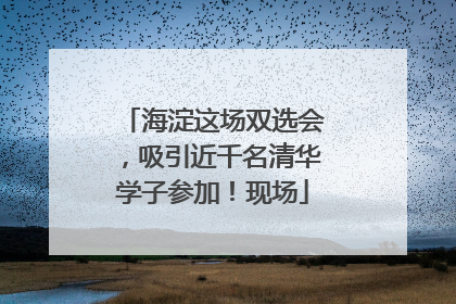海淀这场双选会，吸引近千名清华学子参加！现场
