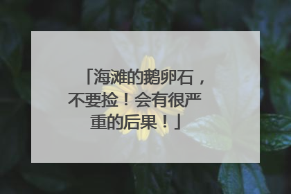 海滩的鹅卵石，不要捡！会有很严重的后果！