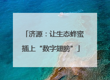 济源：让生态蜂蜜插上“数字翅膀”