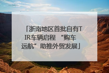 浙南地区首批自有TIR车辆启程 “购车远航”助推外贸发展