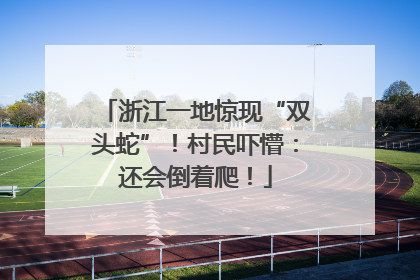 浙江一地惊现“双头蛇”！村民吓懵：还会倒着爬！