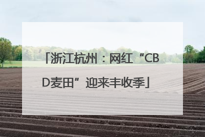 浙江杭州：网红“CBD麦田”迎来丰收季
