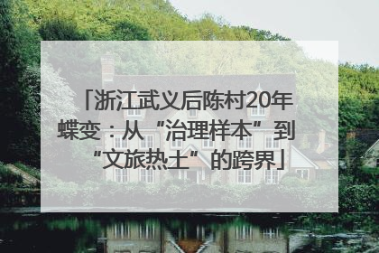 浙江武义后陈村20年蝶变：从“治理样本”到“文旅热土”的跨界
