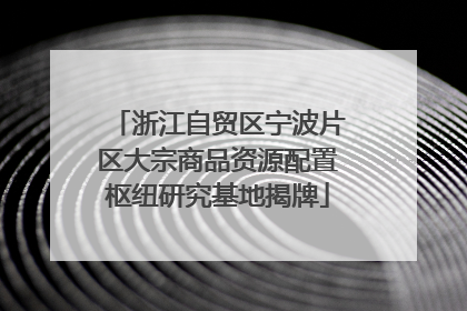 浙江自贸区宁波片区大宗商品资源配置枢纽研究基地揭牌