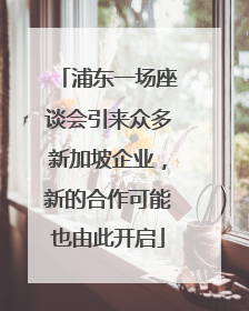 浦东一场座谈会引来众多新加坡企业，新的合作可能也由此开启