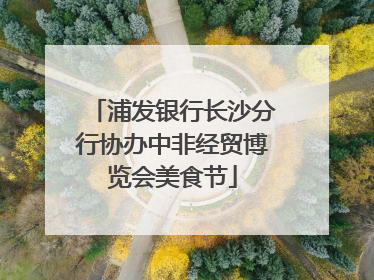 浦发银行长沙分行协办中非经贸博览会美食节