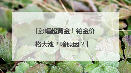 涨幅超黄金！铂金价格大涨！啥原因？