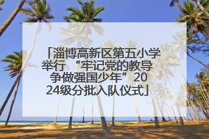 淄博高新区第五小学举行 “牢记党的教导 争做强国少年”2024级分批入队仪式
