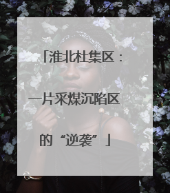 淮北杜集区：一片采煤沉陷区的“逆袭”