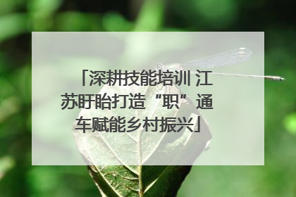 深耕技能培训 江苏盱眙打造“职”通车赋能乡村振兴