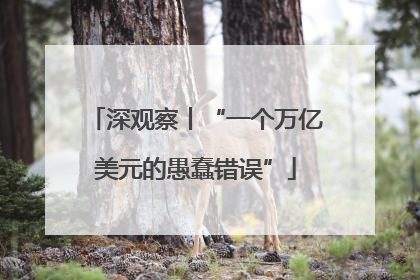 深观察丨“一个万亿美元的愚蠢错误”