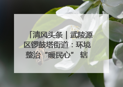 清风头条｜武陵源区锣鼓塔街道：环境整治“暖民心” 辖区面貌“靓”起来