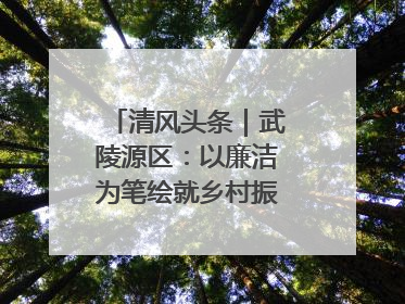 清风头条｜武陵源区：以廉洁为笔绘就乡村振兴新画卷