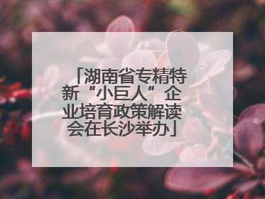 湖南省专精特新“小巨人”企业培育政策解读会在长沙举办