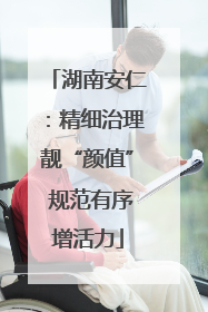 湖南安仁：精细治理靓“颜值” 规范有序增活力