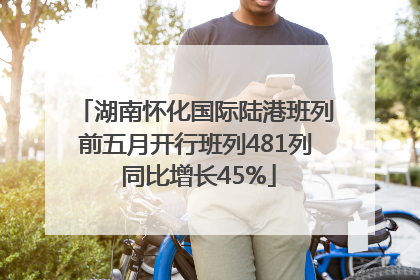 湖南怀化国际陆港班列前五月开行班列481列 同比增长45%