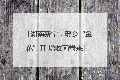 湖南新宁：瑶乡“金花”开 增收画卷来