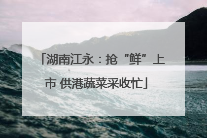 湖南江永：抢“鲜”上市 供港蔬菜采收忙