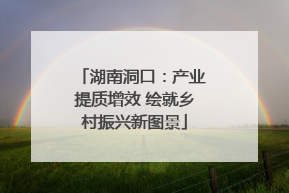湖南洞口：产业提质增效 绘就乡村振兴新图景