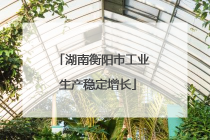 湖南衡阳市工业生产稳定增长