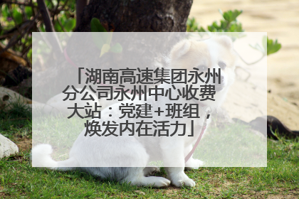 湖南高速集团永州分公司永州中心收费大站：党建+班组，焕发内在活力