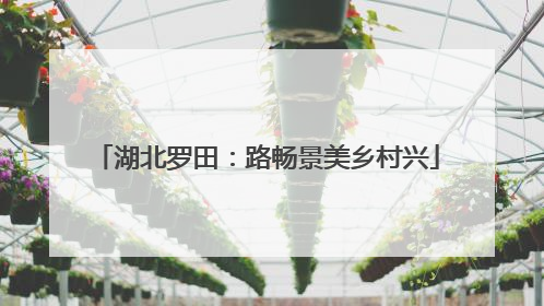 湖北罗田：路畅景美乡村兴